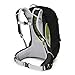 Osprey Stratos 24 Men's Hiking Backpack, Gator Green
