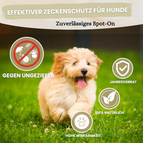 Spot On für kleine Hunde (bis 15kg) - [6 Monate Floh- und Zeckenschutz] für Hunde 6x2ml – Zeckenmittel für Hunde mit natürlichen Inhaltsstoffen– Effektiver Zeckenschutz Hund
