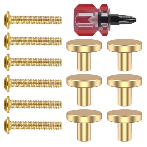 Générique 6 Pièces Boutons de Meuble Dorés, Ronds en Alliage d'Aluminium et Laiton Massif, 30x25mm, Or, avec Vis et Tournevis