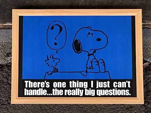 Amazon 19年 スヌーピー ウッドストック ヴィンテージ アートフレーム ポスター Usa Snoopy ピーナッツ Peanuts おもちゃ おもちゃ