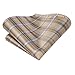 Hi-Tie Beige Plaid Extra Long Ties for Men Checkered Necktie and Pocket Square Cufflinks Set Men Big and Tall Tie Business