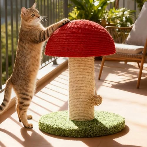 Image of Cat Toy Scratching Post with Roller Ball Track, Catnip Balls & Feather Teaser - Sisal Scratcher with Sturdy Base, Interactive Toy for Cat for Indoor- Mushroom Style