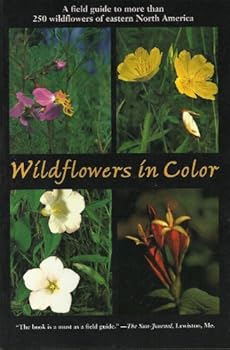 Paperback Wildflowers in Color: A Field Guide to More Than 250 Wildflowers of Eastern North America Book