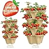 Stackable Vertical Planter Tower, 4 Tier Strawberry Planter,16 Plant Sites, Space Saving Garden Planter for Vegetables & Herbs, Indoor Outdoor, Made in USA (Desert Sand) #4