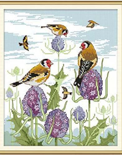 Peinture au diamant 5D oiseau mosaïque point de croix strass cristal kit complet 30x40 cm
