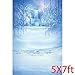 Produktbild EUYuan Fotohintergrund für den Winter, 152,4 x 2,1 m, Weihnachten, Winter, Frozen Schnee, EIS, Welt für Fotografie, Hintergrund für Kinder, Fotostudio-Requisiten
