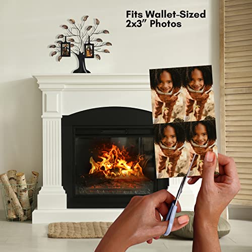 Americanflat Bronze Family Tree Picture Frame - Includes 6 Hanging Picture Frames In Black With 2X3 Picture Frame And Adjustable Ribbon Tassels - 12" Tall #TOP3