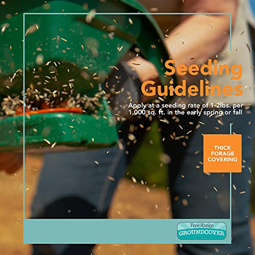 Barenbrug Free Range Groundcover Forage Seed Mixture Ideal For Chickens, Game Birds, Goats, And Sheep, 3 Lbs, Blue #TOP5