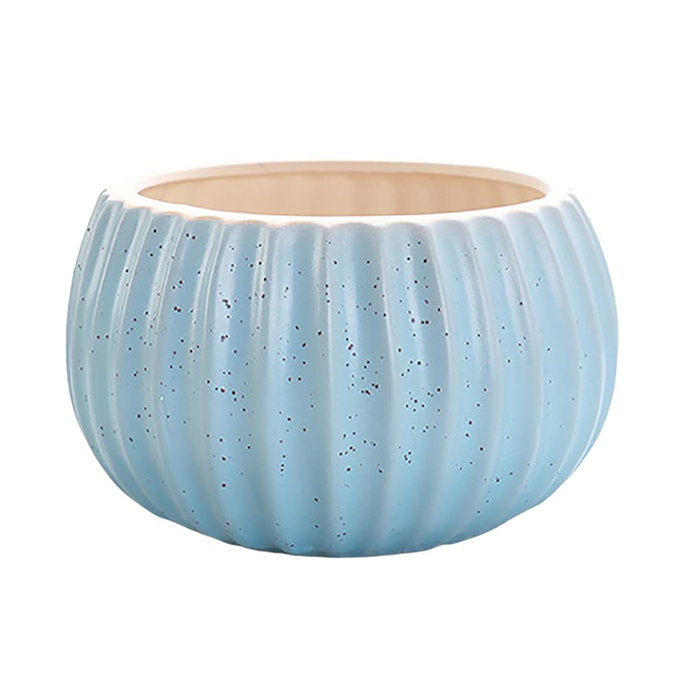 Ceramic Succulent Pots,URMAGIC Colorful Flower Pots Cactus Planters with Drainage Hole for Plants Idea Gift