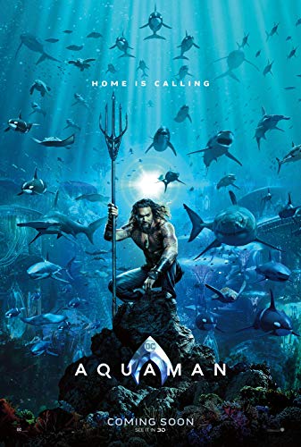 POSTER AQUAM 100x70cm.