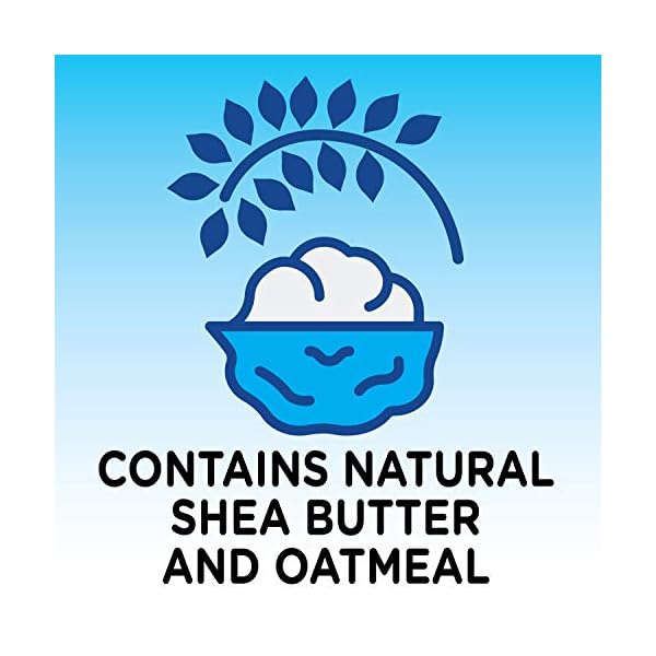 Amazon Brand - Solimo Shea Butter and Oatmeal Body Wash, 24 Fl Oz (Pack of 6)