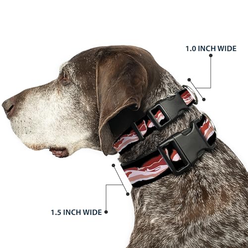 Collier pour chien Bacon Buckle Down accessoire réglable avec boucle plastique robuste