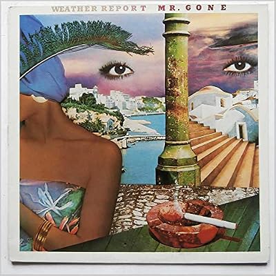 mr. gone LP
