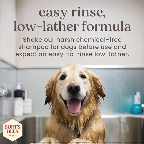 Burt's Bees for Pets Manuka Honey Tearless 2-in-1 Dog Shampoo and Conditioner, with Jojoba Oil, 95% Natural Origin, Free of Sulfates, Milk and Honey Scent, 16 Fl Oz - 2