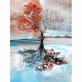 Yingxin34