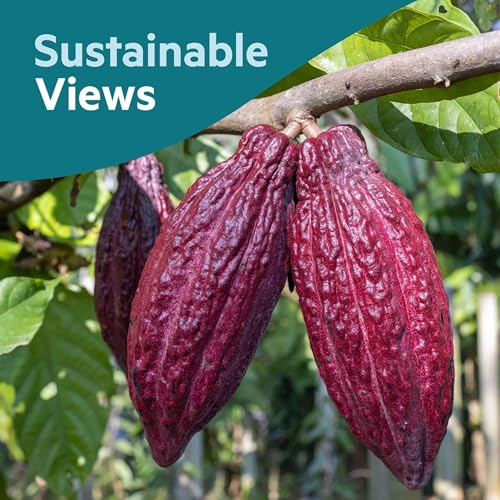 Building business resilience through sustainability practices - Bart Vandewaetere, Nestl&eacute;