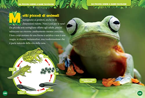 Storie Di Cuccioli In 5 Minuti. Ediz. A Colori - 9