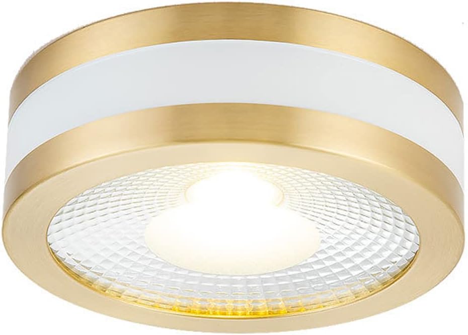 LED Surface Mounted Downlight All Copper Ceiling Spotlights 5W 7W 9W Led Spot Lights Ceiling Fixtures Lighting for Lobby Living Room Bedroom