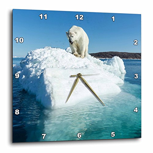 Reloj de pared cuadrado 3D Rose Canadá oso polar 10 pulg miniatura 1