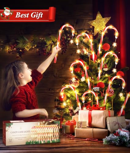 Amazon – Ahaorigin 12-Pack Solar Candy Cane Christmas Lights - image 7