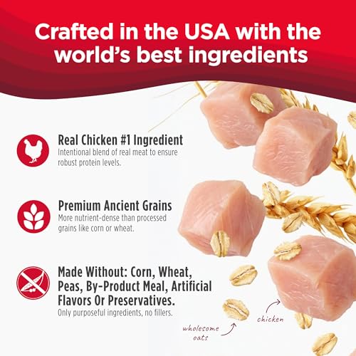Image of Nulo Frontrunner Dry Dog Food - Adult High-Protein Chicken, Oats & Turkey Recipe, Natural Kibble with Ancient Grains, Probiotics, Taurine, Omega 3 for Small, Medium and Large Breeds, 5lb Bag