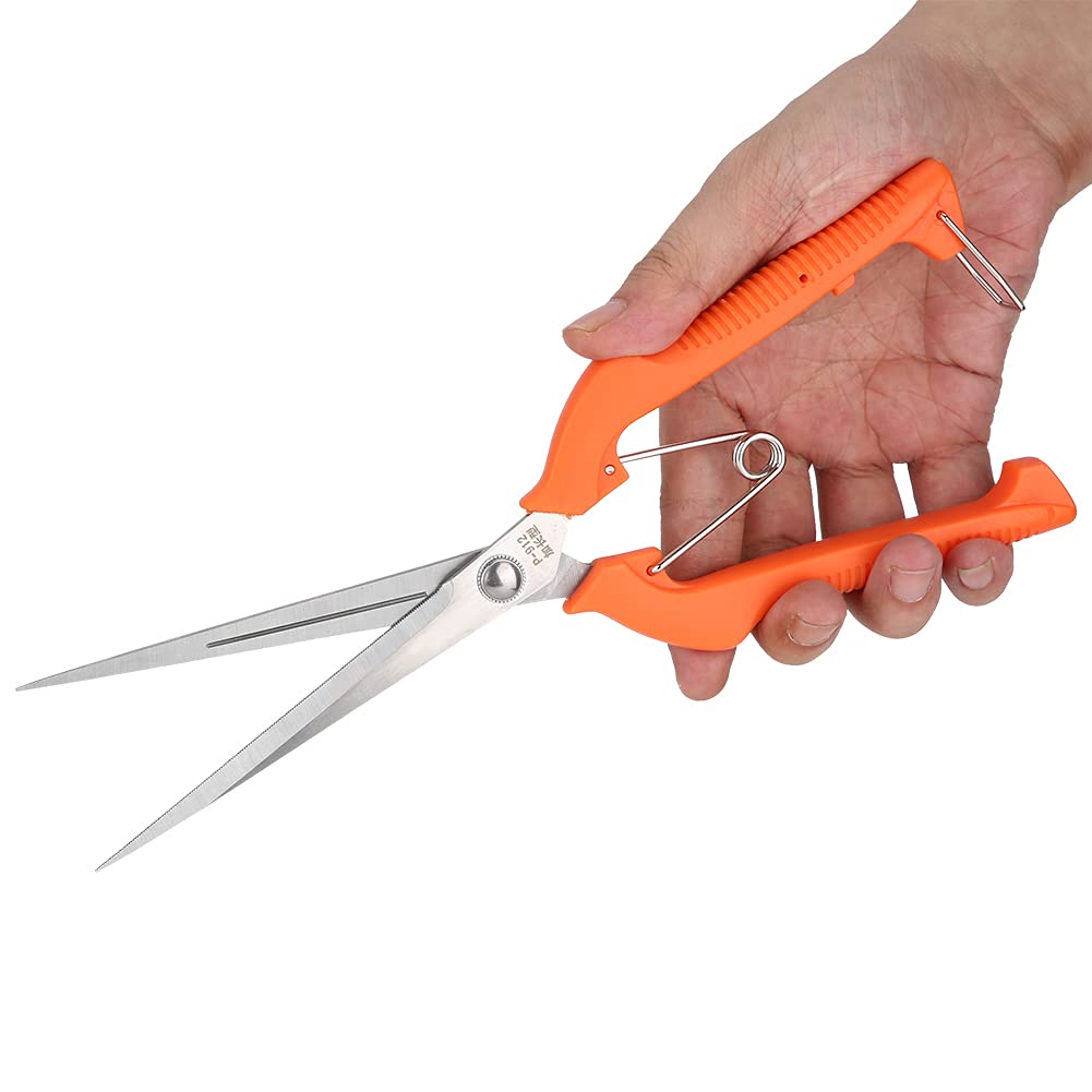 Gegong 250 mm élagage cisaillement jardin de cisaillement Cisseurs ciseaux Home Pruning Carear Jardin Twear Carement Branche Toolet de jardinage pour la coupe de la brindille à fle