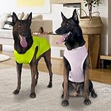 Kickred 2 Pack Hund Kühlung Shirts, EIS Haustier Weste Hund Kleidung für Instant Kühlung, ultraleichte atmungsaktive ärmellose T-Shirts für mittlere Hunde Junge Mädchen (Violett+Grün, XL)