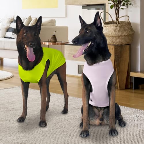 Kickred 2 Pack Hund Kühlung Shirts, EIS Haustier Weste Hund Kleidung für Instant Kühlung, ultraleichte atmungsaktive ärmellose T-Shirts für mittlere Hunde Junge Mädchen (Violett+Grün, XL)