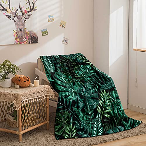 Bedding_Dreamer Green Leaf Blanket Throw Tropical Plant Blanket Exotic Tropical Leaves Fresh Jungle Blanket Botanical Flannel Throw Blanket For Couch Sofa Bed (Throw(50''X60''), Palm) #TOP5