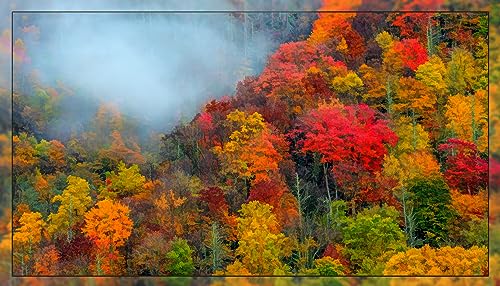 Fall Glory Quilt Panel - SFC-009, Size 35