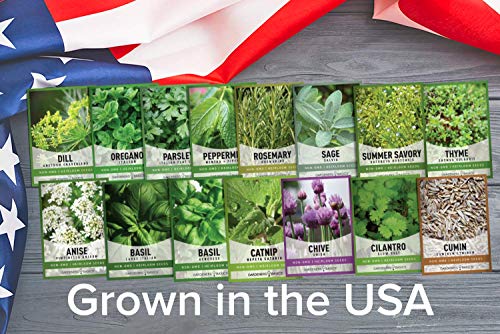 Gardeners Basics, 15 Herb Seeds for Planting Varieties Heirloom Non-GMO 5200+ Seeds Indoors, Hydroponics, Outdoors - Basil, Catnip, Chive, Cilantro, Oregano, Parsley, Peppermint, Rosemary and More - Image 3