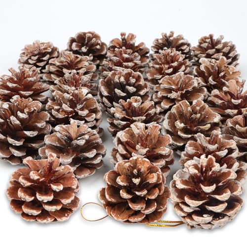 24 Stück Weihnachten Tannenzapfen Dekoration Natürliche Mini Hängen...