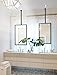 TEHOME Ceiling Mount Mirrors for bathrooms Suspend Black Metal Framed Rectangle ceil Mount Mirror for a Window Vanity with Adjustable Hanging Rod, Mirror Measures 20x30''