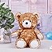 TXSA Giocattoli Peluche orso bruno Giocattolo Bambola Peluche Morbido Perfetto per Ragazze Ragazzi giocattoli per bambini Festival regalo di compleanno 50CM