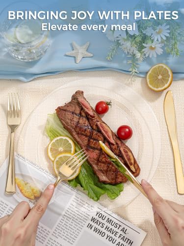 Image of WDF 200PCS Clear Plastic Plates for Party - Heavy Duty Clear Disposable Plates - 100 x 10 Dinner Plate and 100 x 7 Dessert /Cake Plastic Plate for Weddings /Traval /Party /BBQ /Events