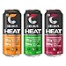 CELSIUS HEAT Performance Energy Drink 3-Flavor Variety Pack #2, ZERO Sugar, 16oz. Can, 12 Pack