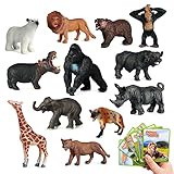 zoo talkers tiere 【Premium Quality & Medium Size】- The animal figures toy set is made of high-quality, durable plastic, BPA-Free resin and coating, with ASTM, CPSIA, EN71, RoHS approval, is durable and washable, very safe to use. Their uniquely molded textures and richly painted details make forest animals vivid. You can use them as cake toppers, cupcake toppers and bath toys. The size of miniature animal figurines measure about 2-3.5 inches.