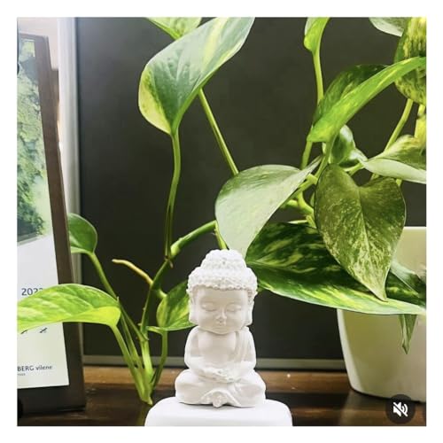 Image of Vanli Miniature Buddha Idol /Statue /Showpiece for Home, Car & Office Decor (Combo of Both)
