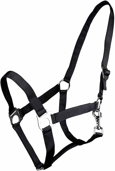 乗馬用品 QHP スライド 無口 ※曳手は付属しません - 3