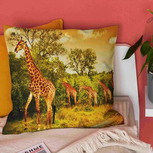 Taie d'oreiller imprimé linge housse coussin extensible 50x50