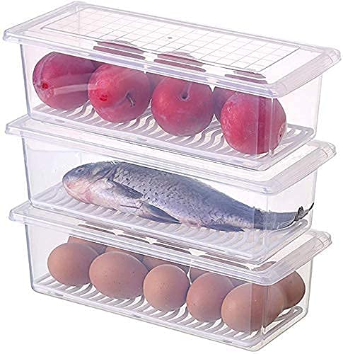 Big Buzz Food Storage Container with Removable Drain Plate and Lid Fridge Storage Box Stackable Plastic Freezer Storage Containers to Keep Fresh for Meat, Fruits etc. (1500 Ml, Pack of 1, Transparent)