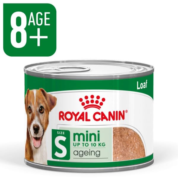 Royal Canin Mini Adult Ageing 12+ | 12 x 195 g | Alimento umido per cani anziani di piccola taglia (da 1 a 10 kg) | A partire da 12 anni di età | Contenuto energetico adattato