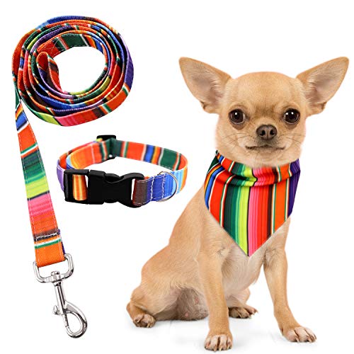 3PCS Fiesta Cinco de Mayo UNO Dog Collar Bandana Leash Set for Small Medium Pets Puppies Outdoor Walking Running Training Multi-Color Serape Mexican Dog Gift