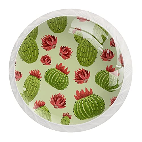 Boutons armoires cuisine cactus vert et rouge de meuble - 3