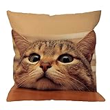 HGOD DESIGNS Cat Pillow Cover Decorative Curious Cute Cat Look at You with Eager Eyes On Table Cotton Linen Square Pillow Case for Men/Women/18x18 inch Brown