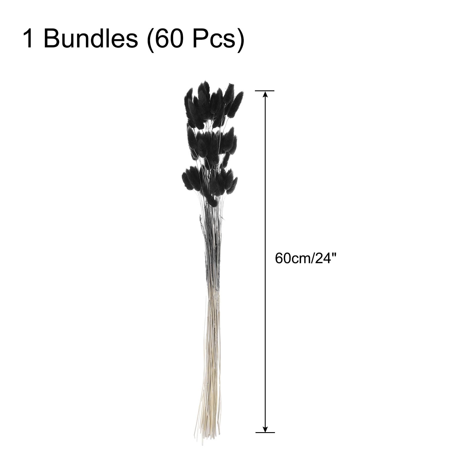 QUARKZMAN 60Pcs Queue de Lapin Naturelle Fleurs Séchées 60cm Noir | Mini Herbe de Pampa Lagurus Ovatus, Bouquet pour Décoration Florale Mariage Noël