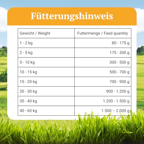 Bellfor Heide-Menü Hundefutter Nass mit Frischem Lammfleisch 6 x 400 g - Getreidefrei Ohne Soja, Zucker, Synthetische Farb-, Konservierungs- und Aromastoffe