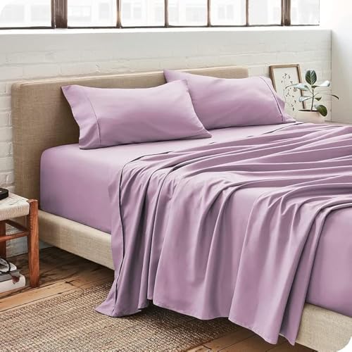 Image of King Size Cotton Bedsheet Set with Pillow Cover - Lavender, 600 Thread Count, 3 Piece Set