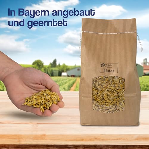 Gebrüder Goller Hafer Ganzes Korn 12,5kg - Futterhafer als Pferdefutter ungeschält für Pferd und Pony/Kraftfutter Pferd für mehr Energie - mehrfach gesiebt & staubarm - direkt vom Hof