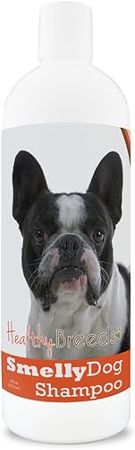 Healthy Breeds French Bulldog - Champú de bicarbonato de sodio para perros, 8 onzas